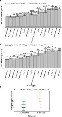 Characterization of field pea (Pisum sativum) resistance against Peyronellaea pinodes and Didymella pinodella that cause ascochyta blight